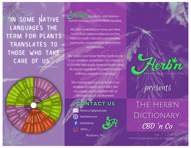 Link to brochure with information on cannabinoids (front).