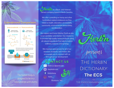 Link to brochure with information on the Endocannabinoid System (front).